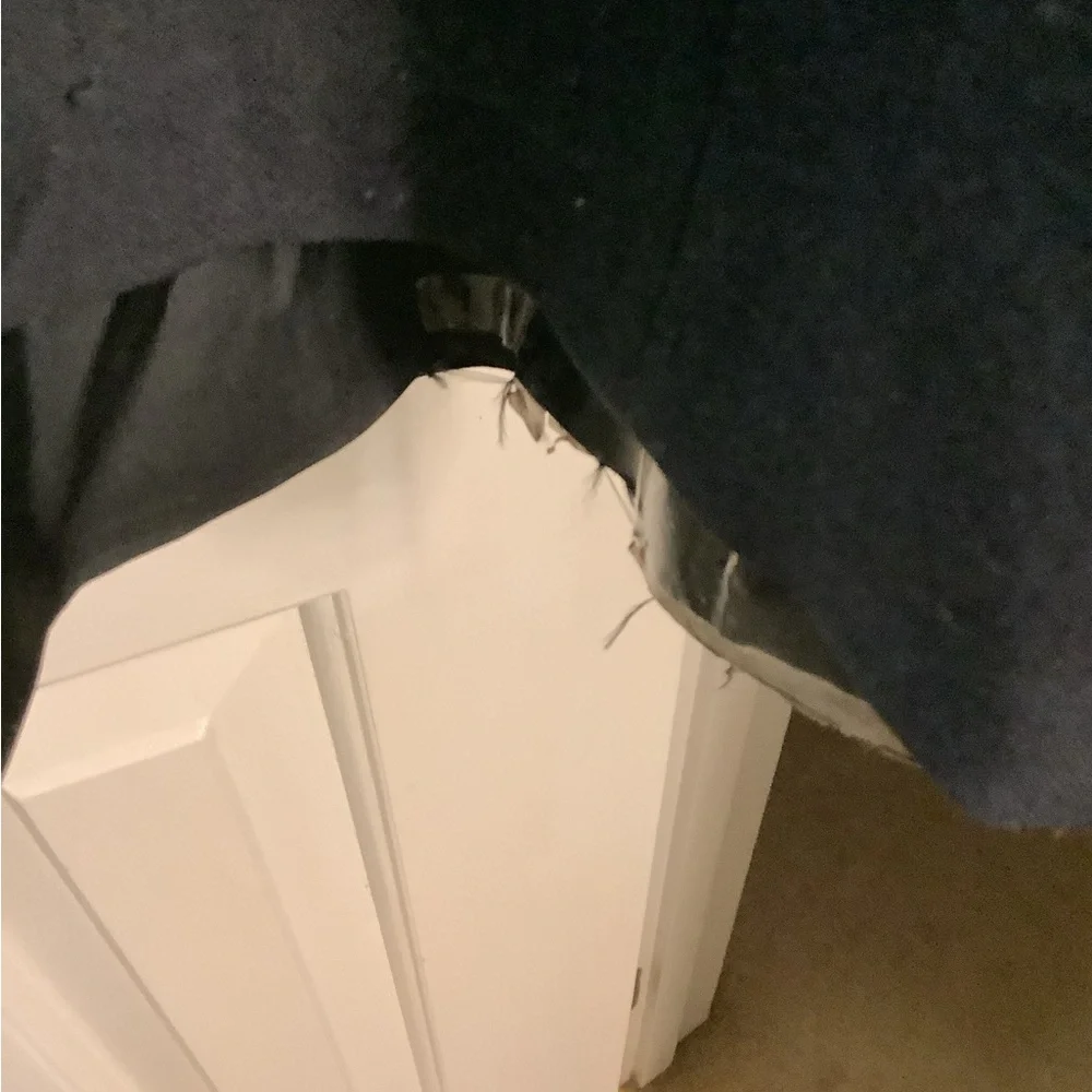 The - Picture 5 of 5